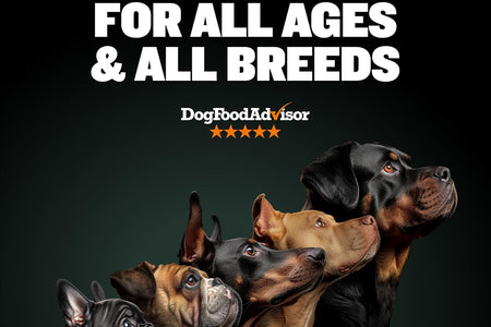 High Performance Super Premium Dog Food (15 Lbs.)