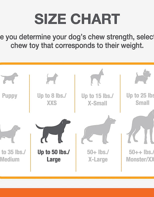 Load image into Gallery viewer, Power Chew Comfort Hold X Bone Dog Toy, Dog Chew Toy, Beef Flavor, Large, 1 Count
