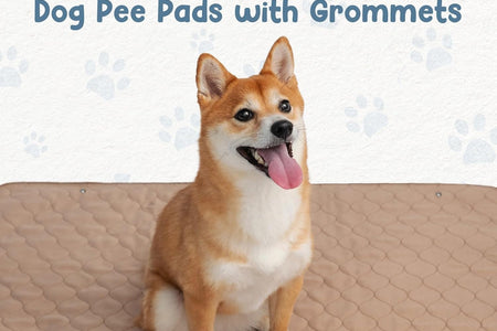 Washable Pee Pads for Dogs - Waterproof Training Pads for Dogs, Reusable & Sanitary, Rounded Corners, Laminated, Lightweight, Durable, Pet Essentials for Training and Whelping, 47" X 47"