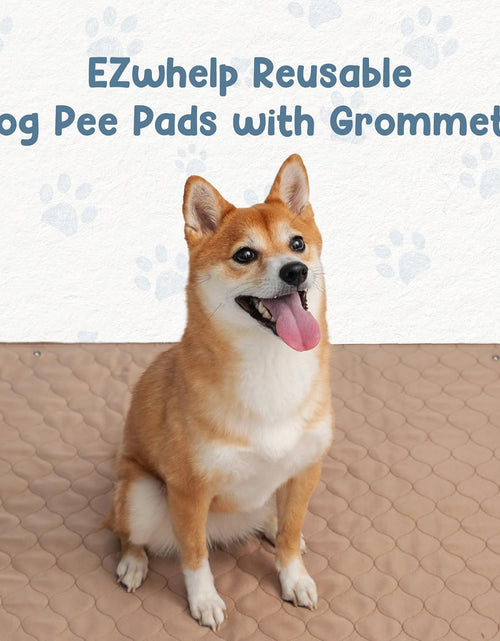 Load image into Gallery viewer, Washable Pee Pads for Dogs - Waterproof Training Pads for Dogs, Reusable &amp; Sanitary, Rounded Corners, Laminated, Lightweight, Durable, Pet Essentials for Training and Whelping, 47" X 47"
