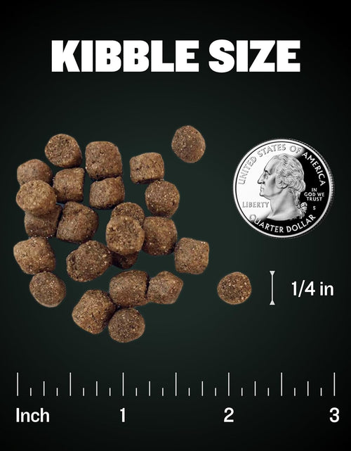 Load image into Gallery viewer, High Performance Super Premium Dog Food (15 Lbs.)
