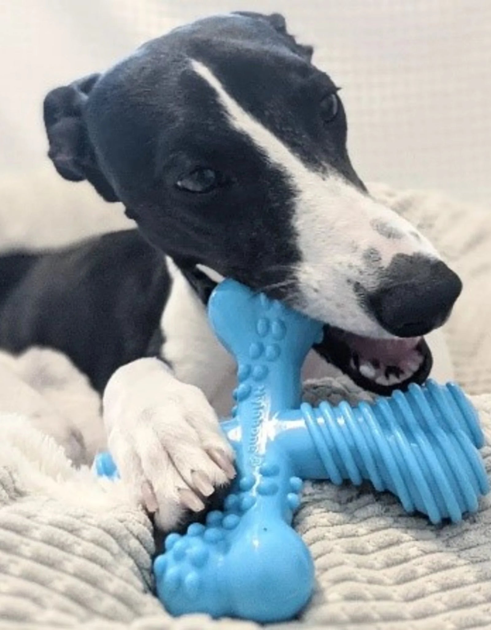 Power Chew Comfort Hold X Bone Dog Toy, Dog Chew Toy, Beef Flavor, Large, 1 Count