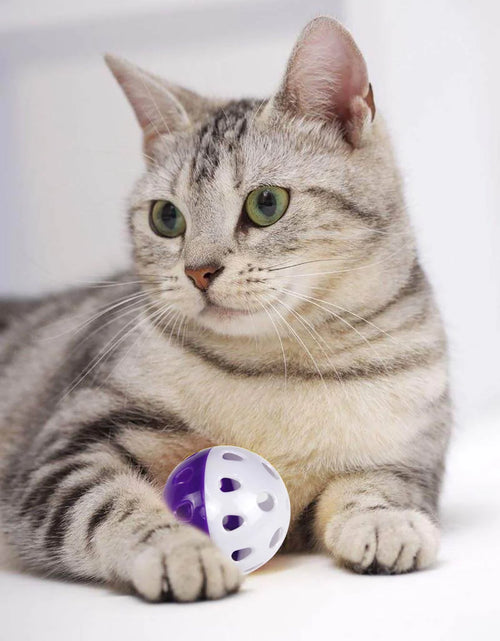 Load image into Gallery viewer, 6PCS Cat Toy Bell Ball Interactive Pet Playing Toy for Kitten Cat
