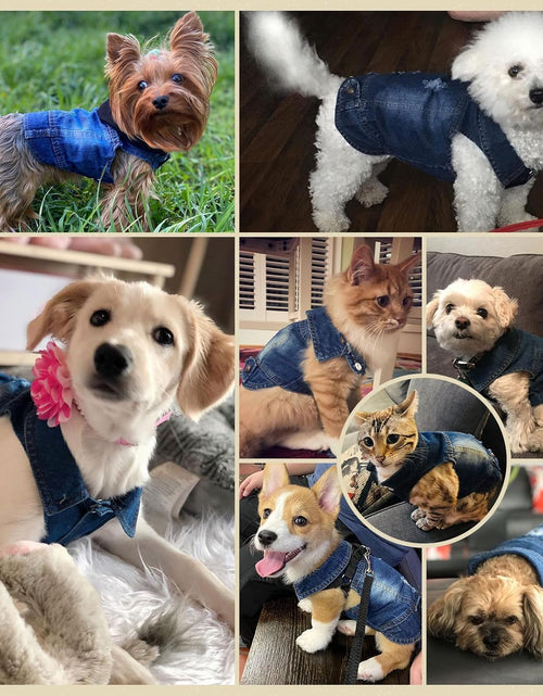 Load image into Gallery viewer, Pet Vests Dog Denim Jacket Hoodies Puppy Jacket for Small Medium Dogs
