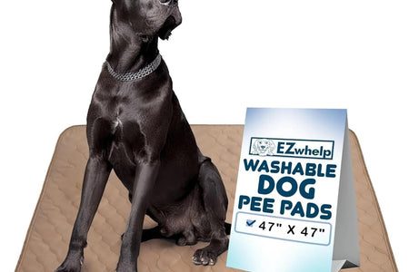 Washable Pee Pads for Dogs - Waterproof Training Pads for Dogs, Reusable & Sanitary, Rounded Corners, Laminated, Lightweight, Durable, Pet Essentials for Training and Whelping, 47" X 47"