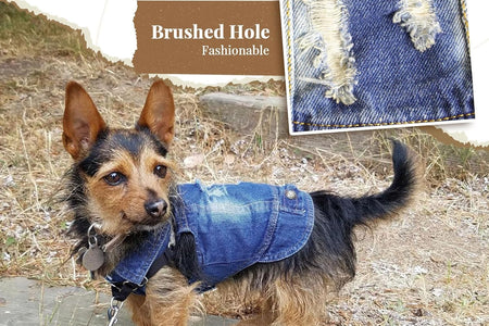 Pet Vests Dog Denim Jacket Hoodies Puppy Jacket for Small Medium Dogs